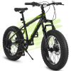 S20109 Kids' Bike 20 Inch Wheels Fat Tire Bike, 4" Wide Fat Tire Snow Mountain Bike Ages 8-12 Year Old, Steel Frame