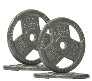 Only Supports Self Pickup  1-inch Standard Cast Iron Weight Plates For Strength Training And Weight Lifting, Multiple Weights (Option: 5LB Set of4)